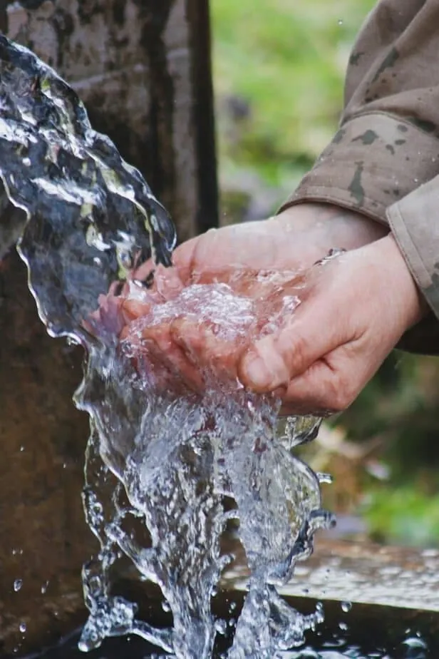Measured water portion in a transparent container